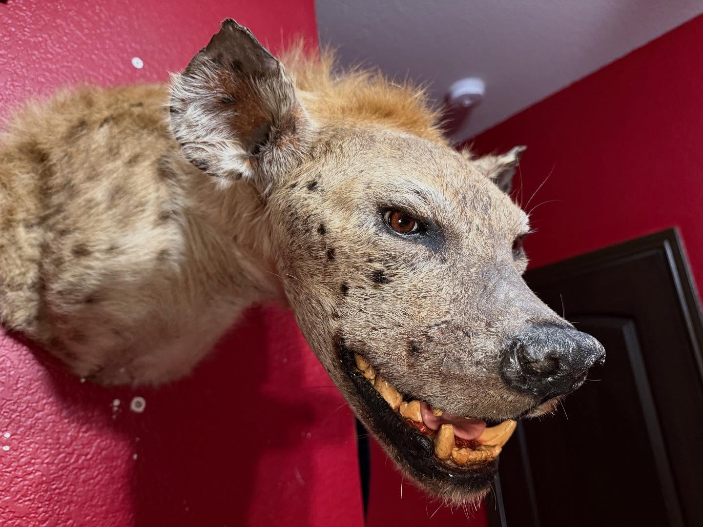 569737692_18532109692035399_6410575057600016599_n