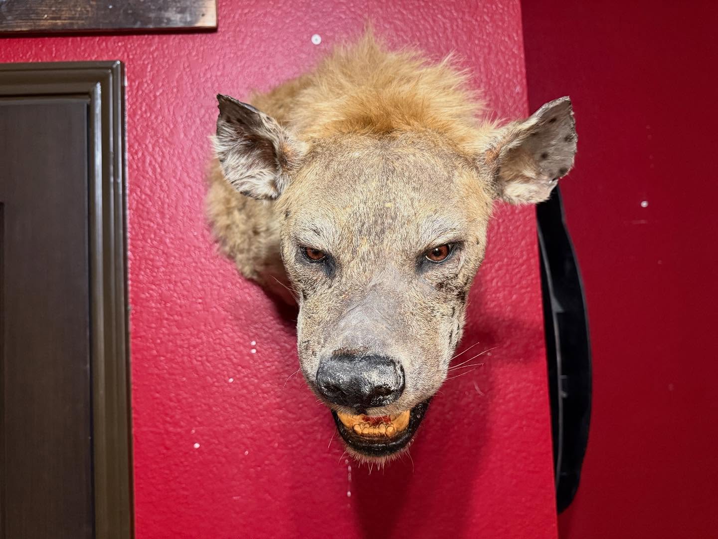 572671471_18532109659035399_5761855526707018430_n