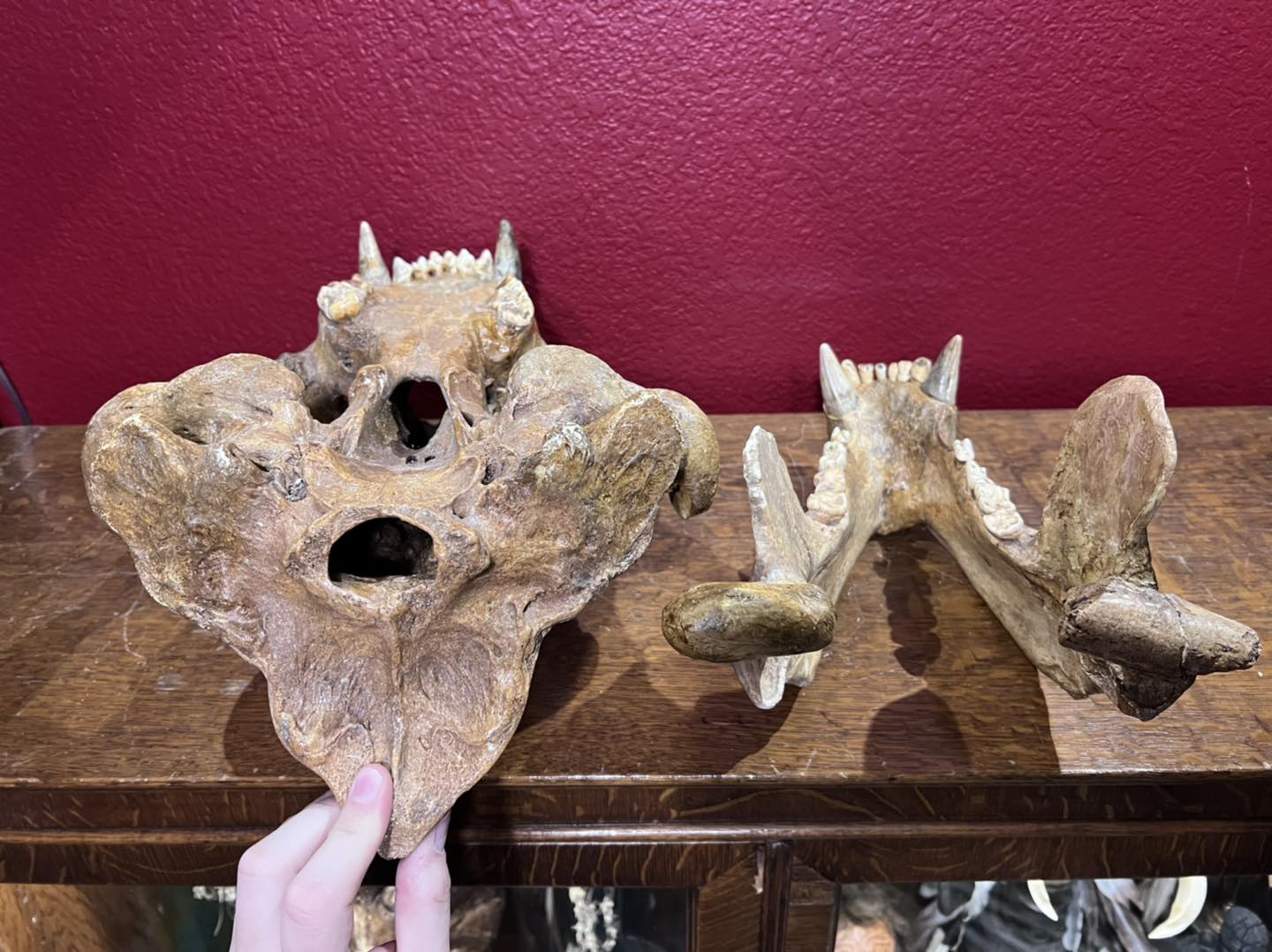 477678378_1145050367533216_333141605529256110_n