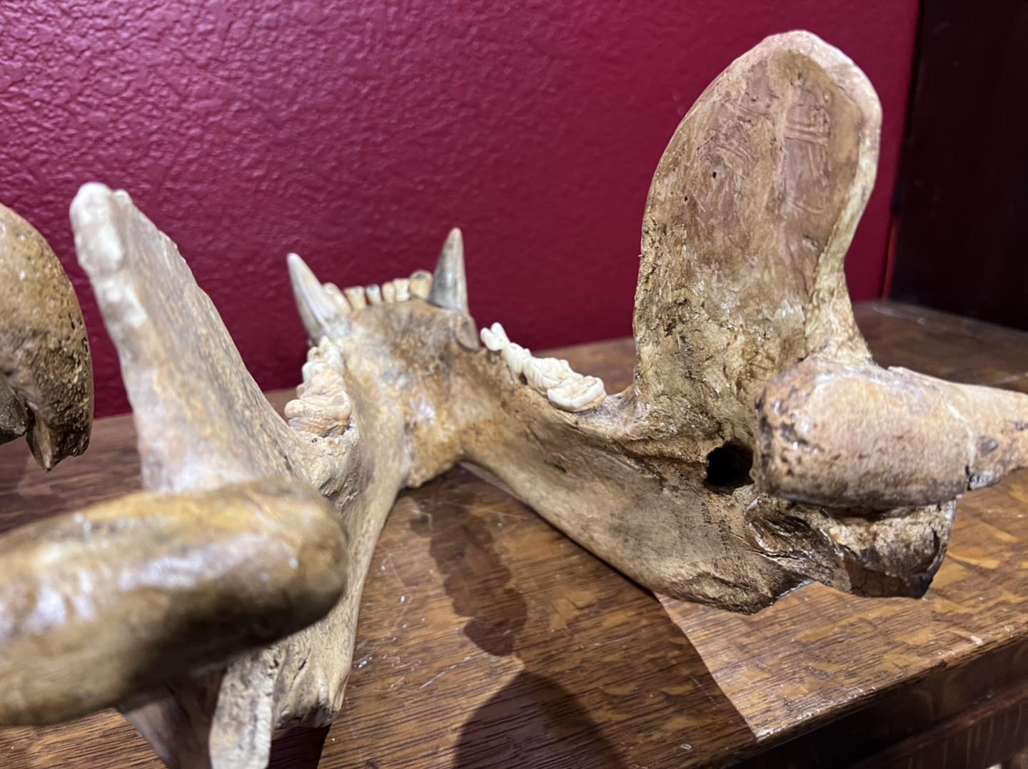 478292799_1145050374199882_7560813085025430004_n