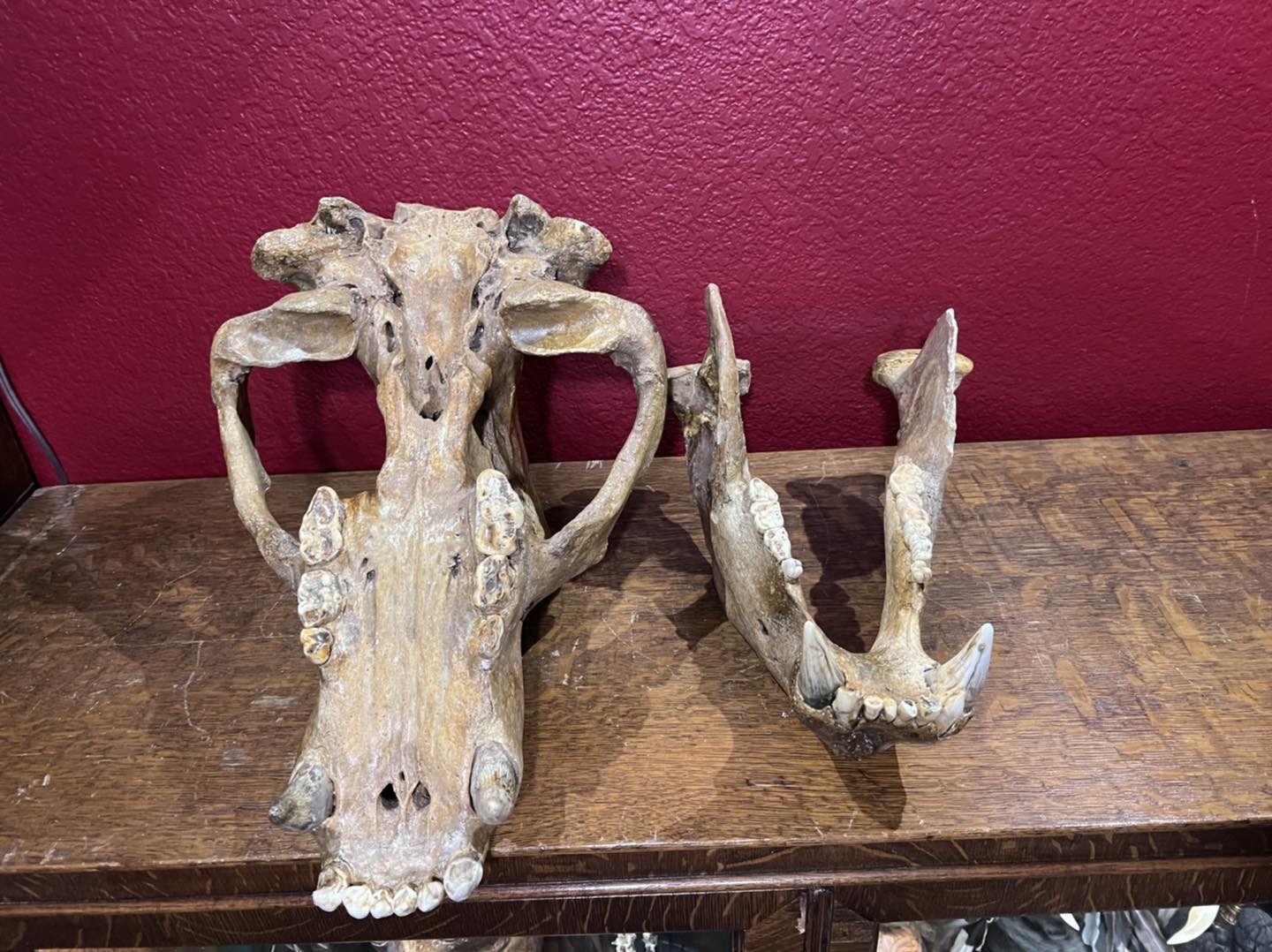 479124579_1145050397533213_5388129936450984053_n