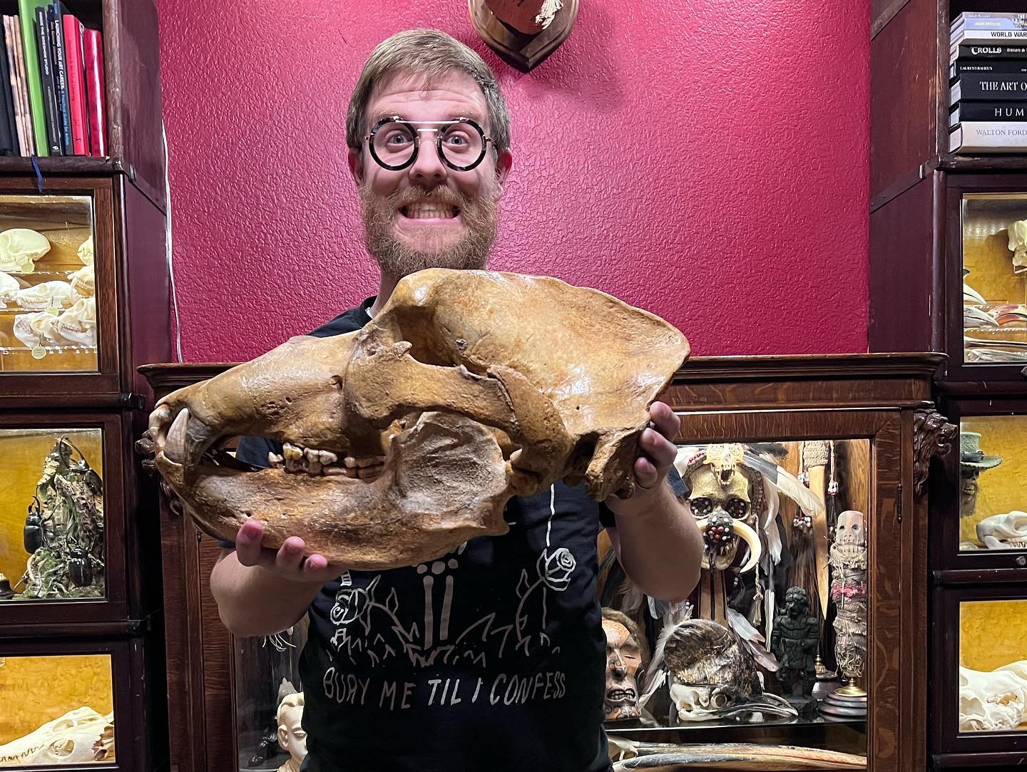 479177024_1145050414199878_4192868612923844385_n Cave bear skull for sale
