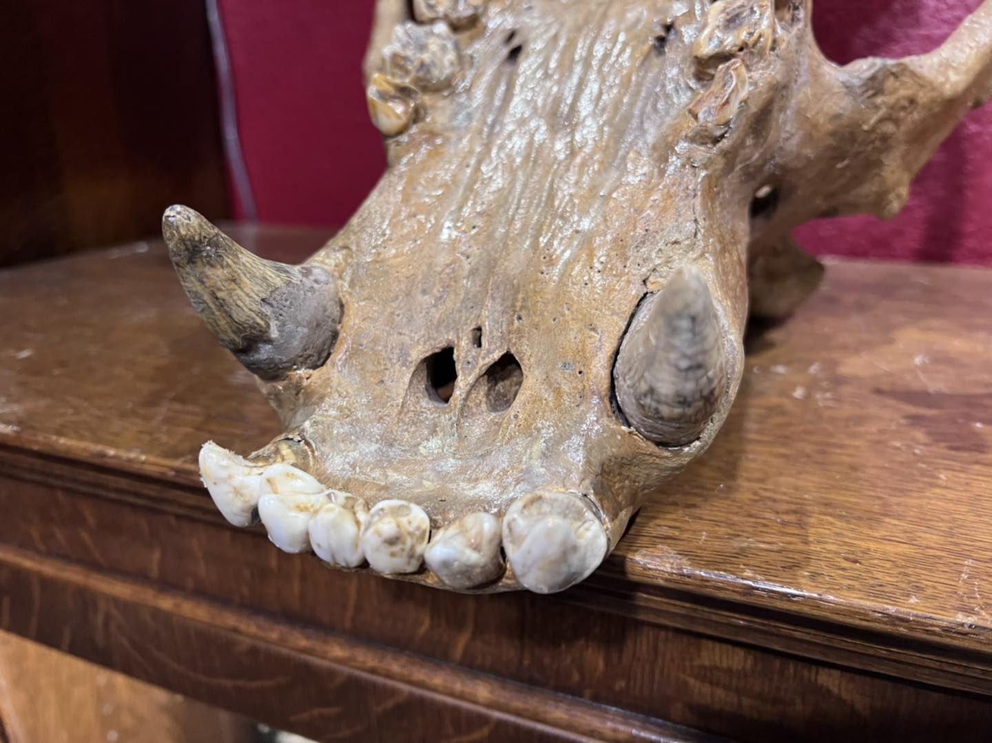 479203715_1145050317533221_2744858032578921225_n