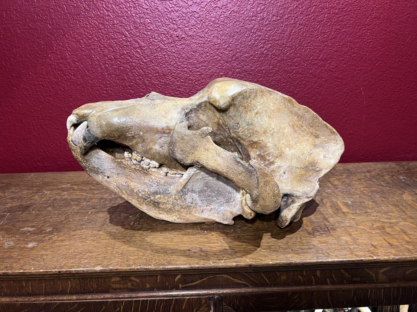 479532942_1145050434199876_3191100601978253486_n