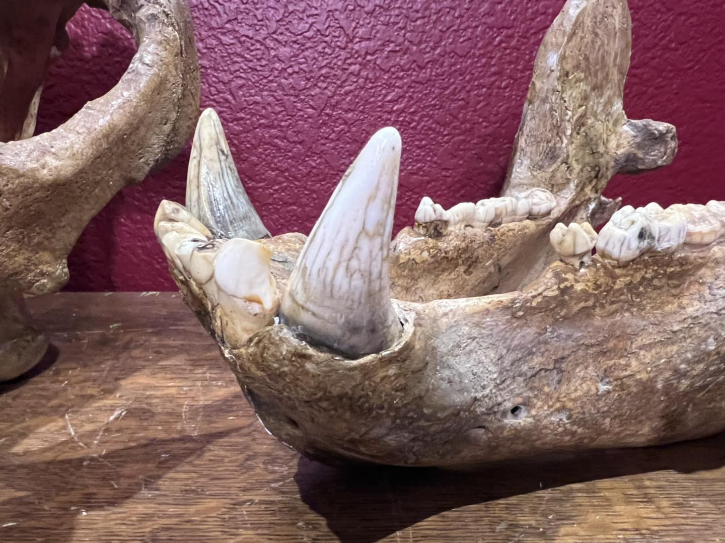 479549581_1145050464199873_1384403333426272080_n