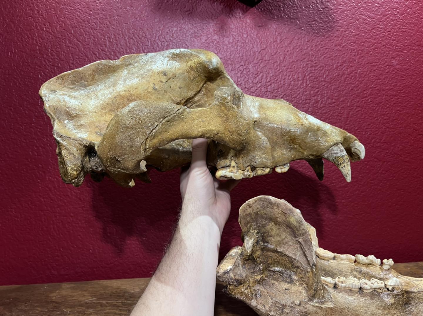 480088309_1145050384199881_2552080773045068066_n