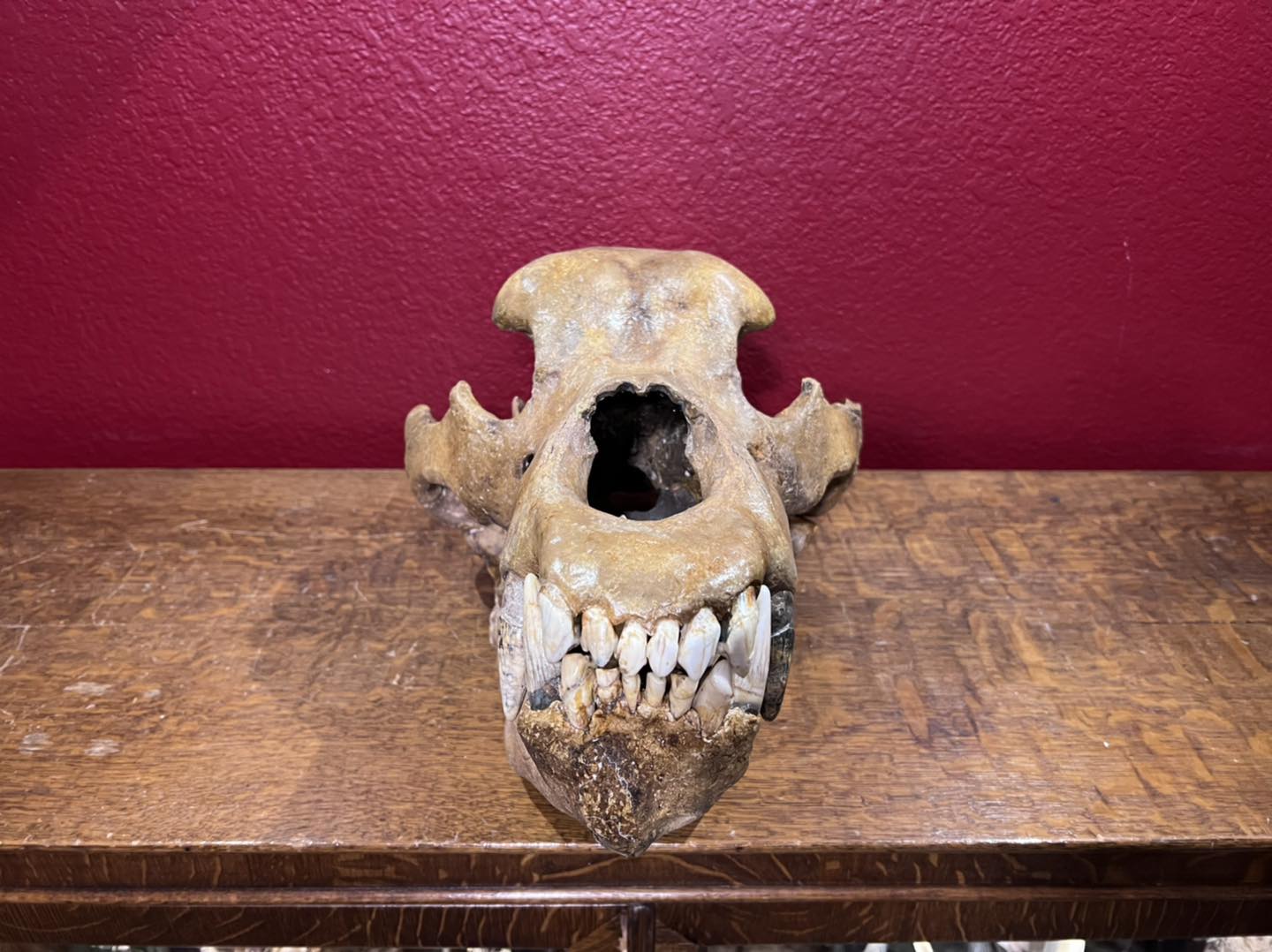 480162217_1145050394199880_6393486802788872574_n