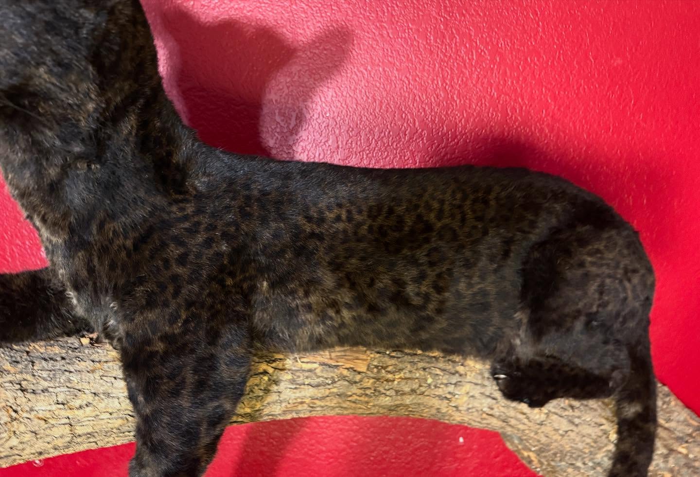 527988513_18516301030035399_8212695395121258759_n