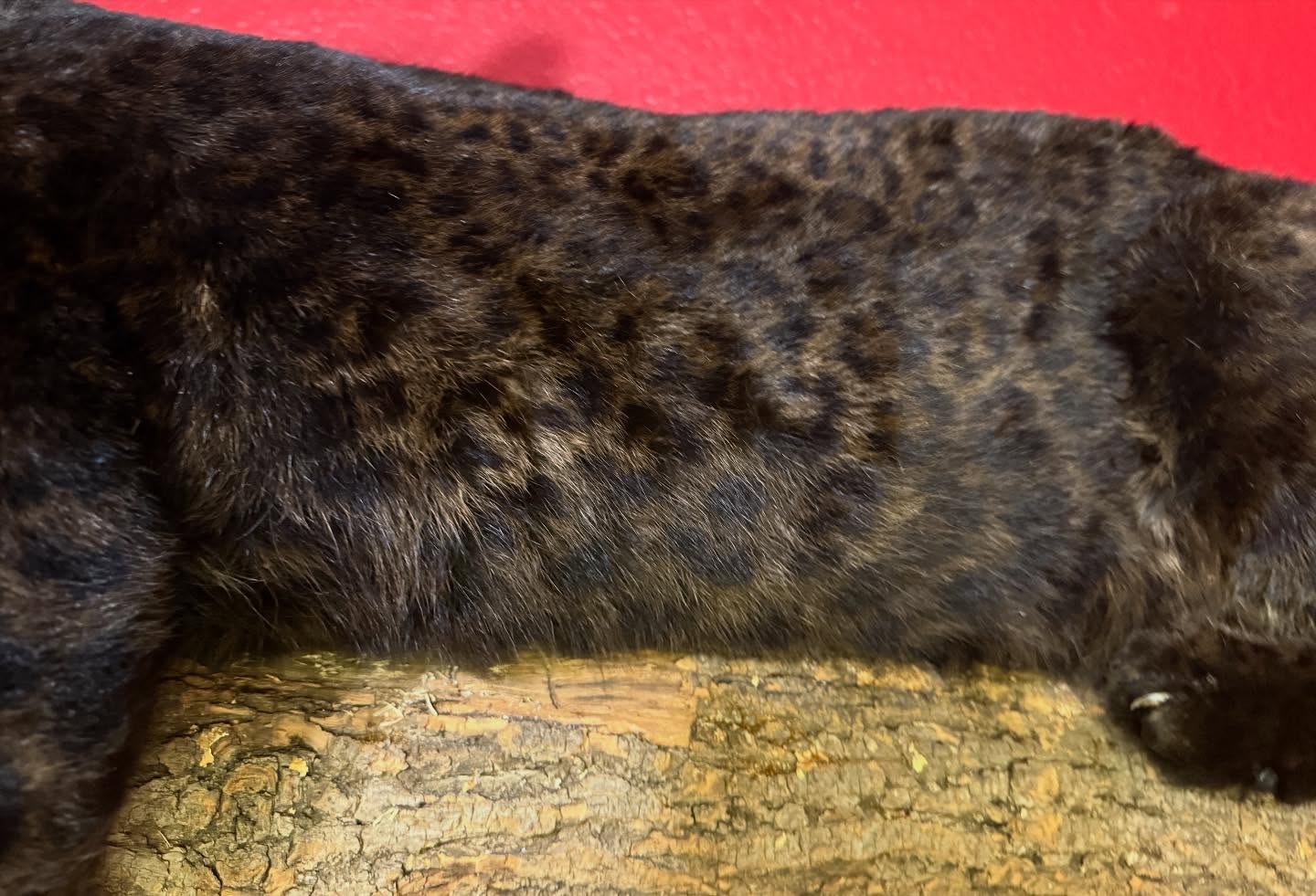 528698634_18516301039035399_453098140330447720_n