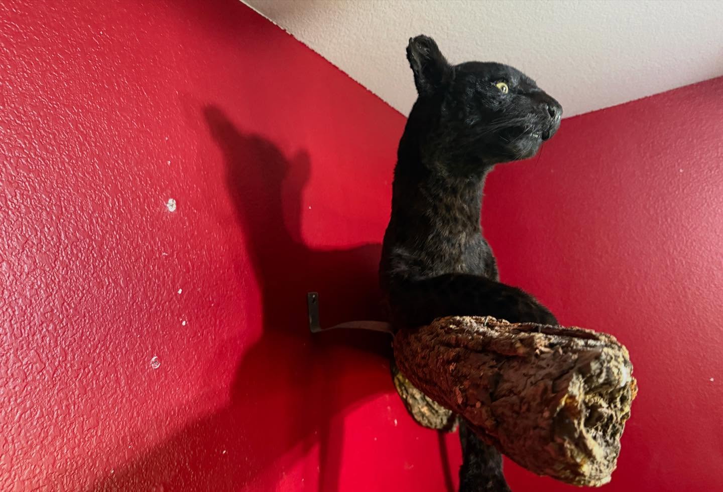 528771802_18516301006035399_5057839344864590564_n