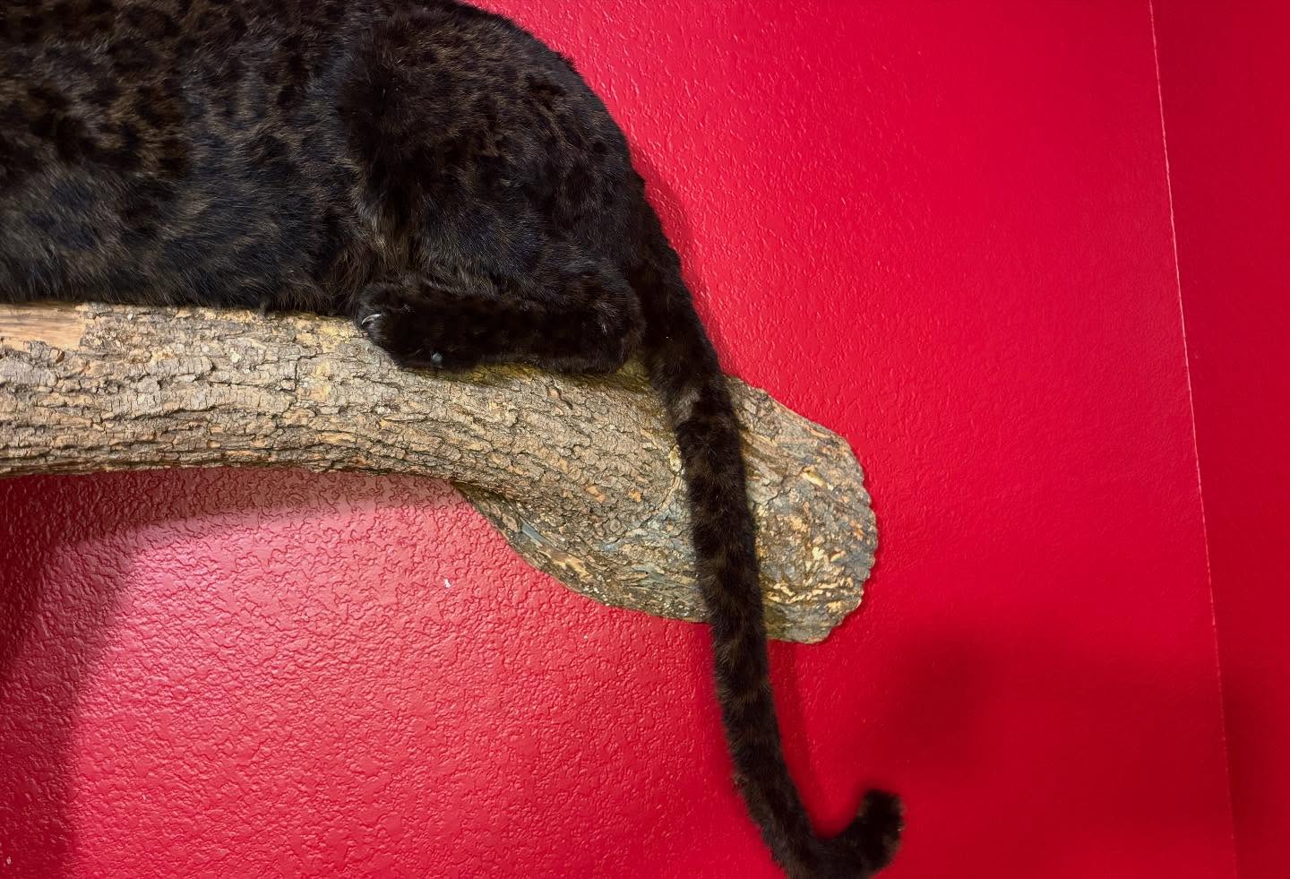 528805192_18516301018035399_242019586808805849_n