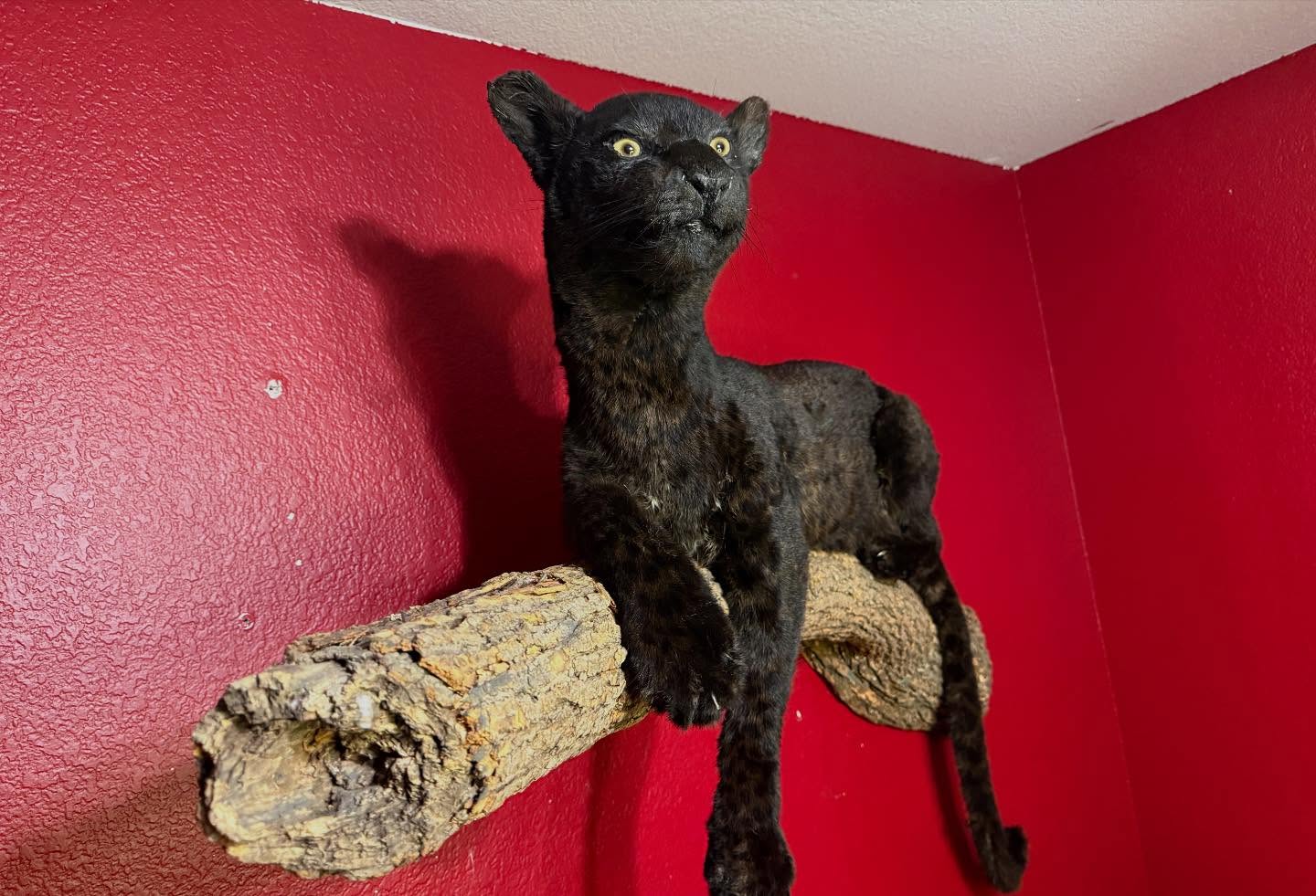 530216989_18516300997035399_5726093062798425141_n