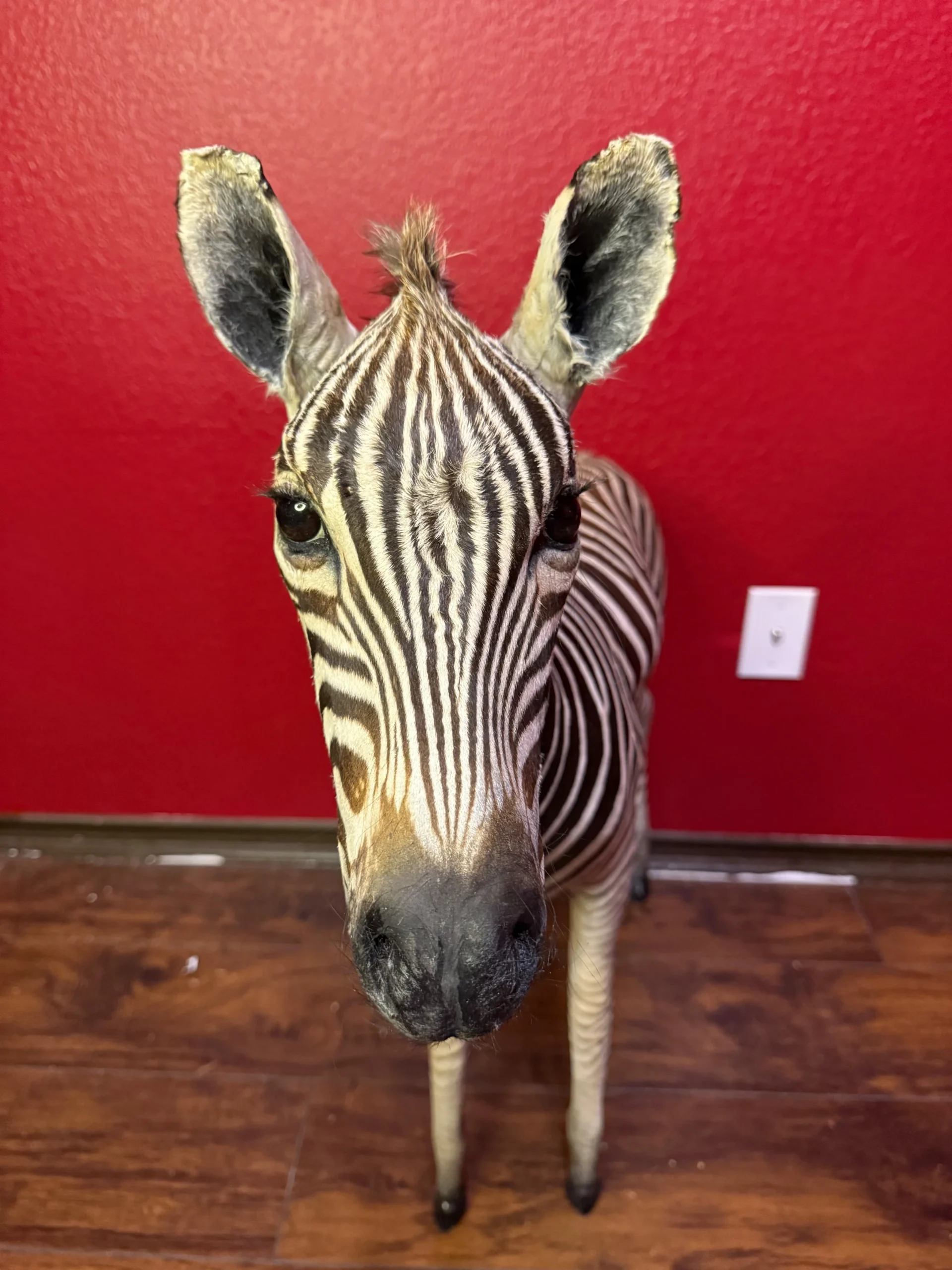 s893222380290560647_p690_i13_w4284