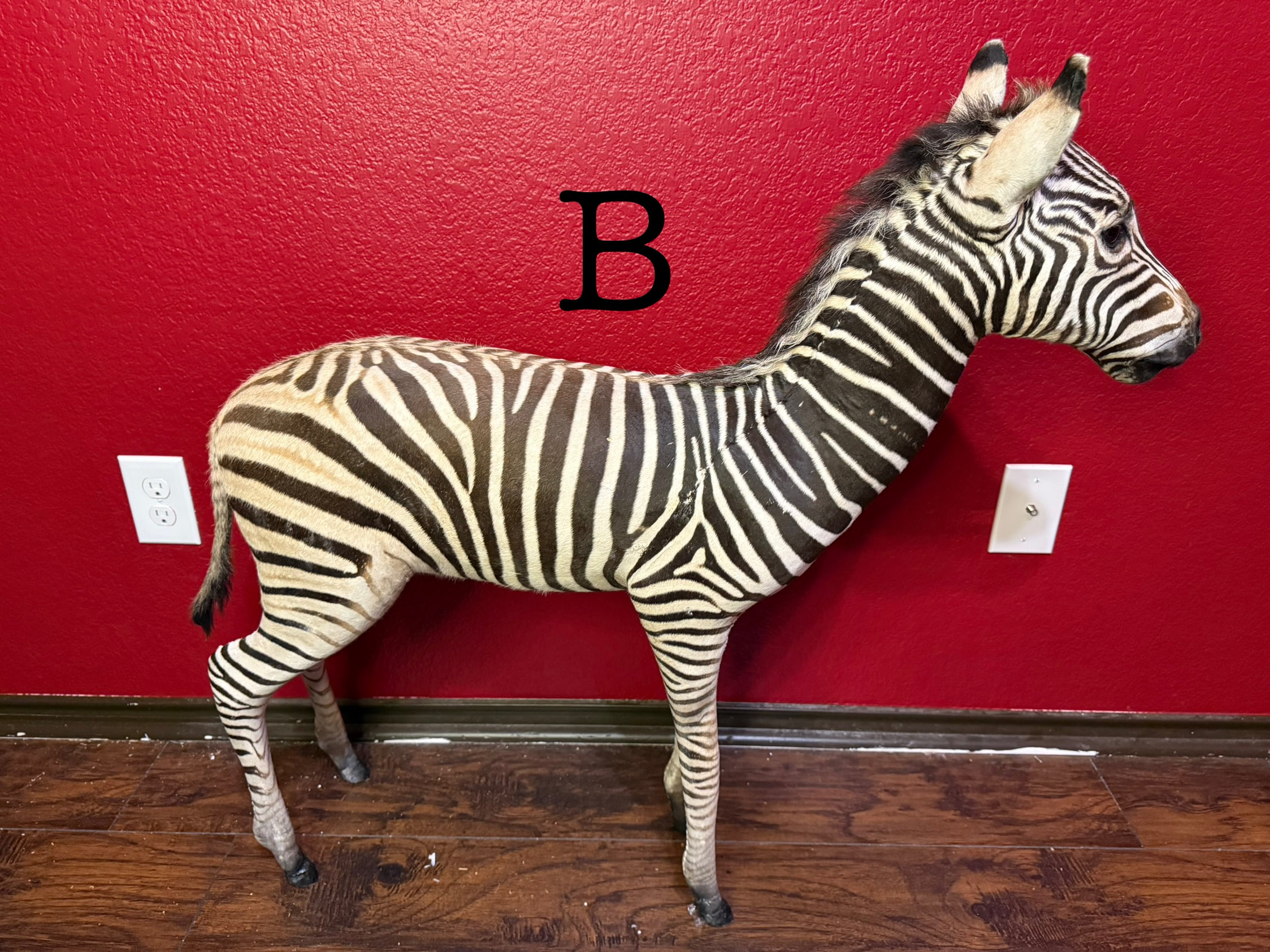 s893222380290560647_p690_i14_w2247