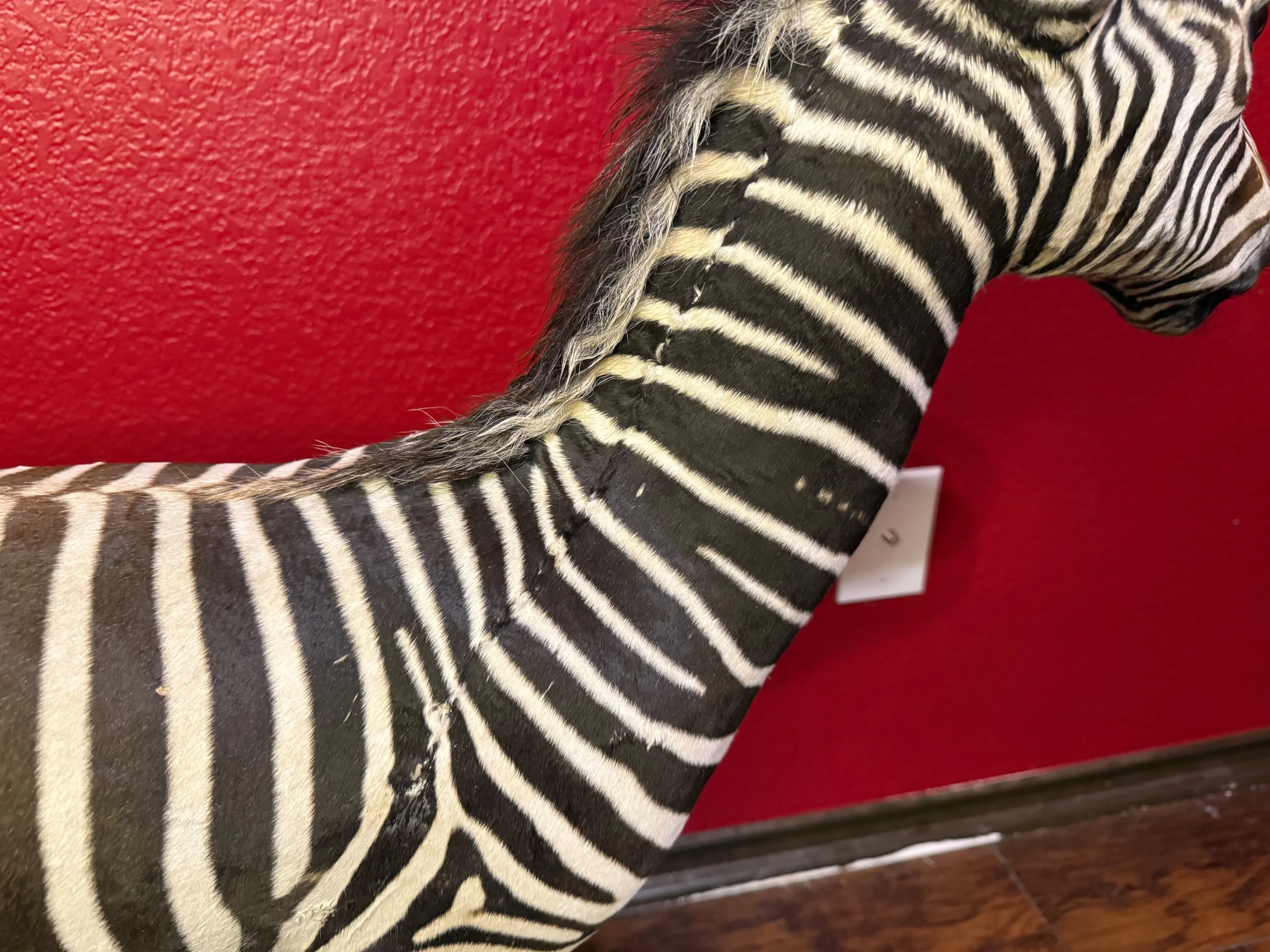 s893222380290560647_p690_i15_w5712