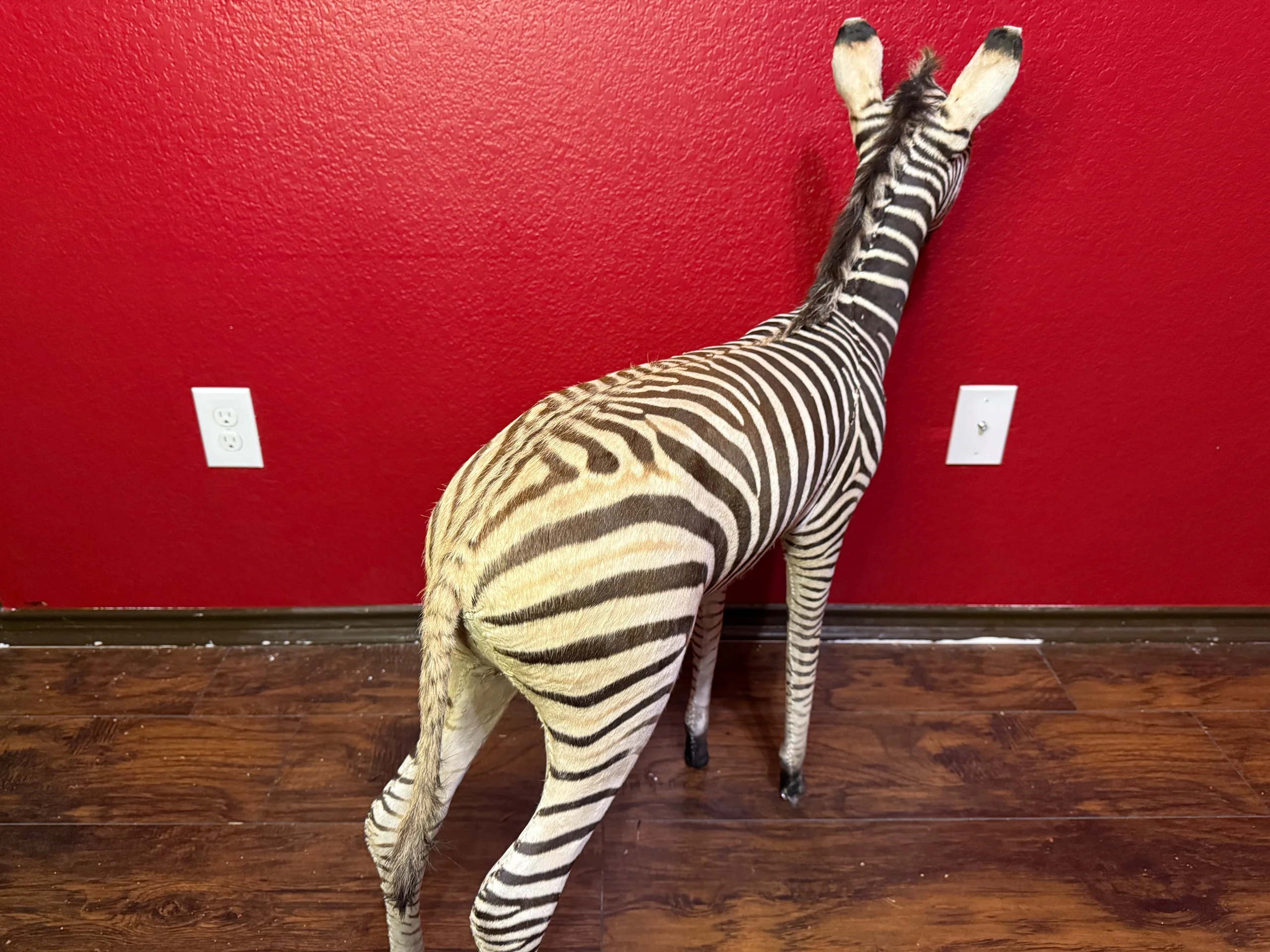 s893222380290560647_p690_i16_w5712