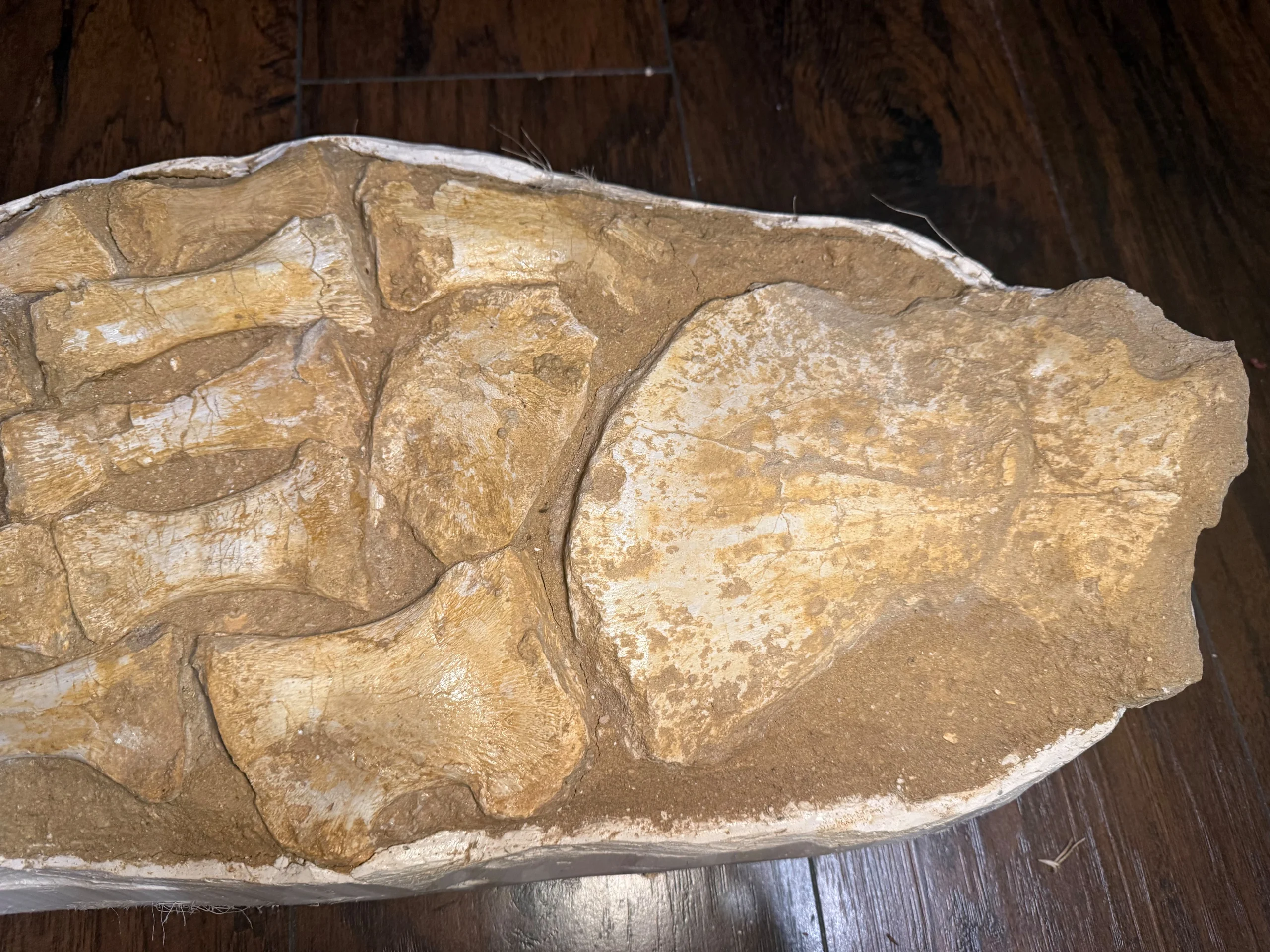 s893222380290560647_p809_i2_w5712