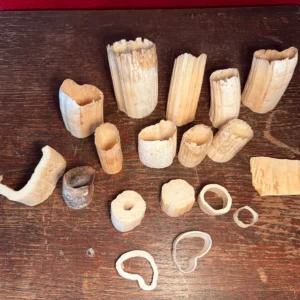 Hippo Tusk Pieces