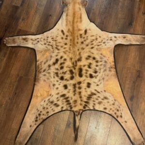 Spotted Hyena Rug