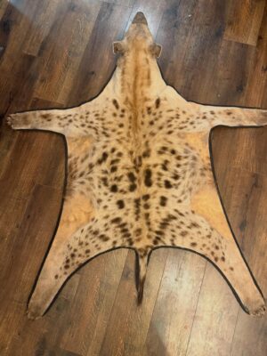 Spotted Hyena Rug