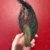 Taxidermy Elephant tail