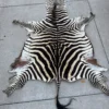 Taxidermy Zebra Hide