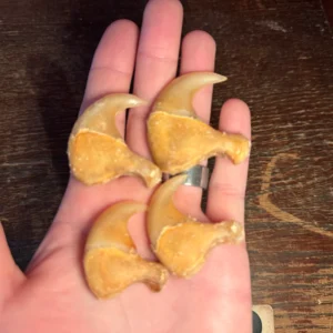 Buy African Lion Claws Set (Front)