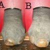 Taxidermy Elephant Feet