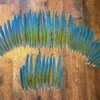 Macaw Tail Feathers